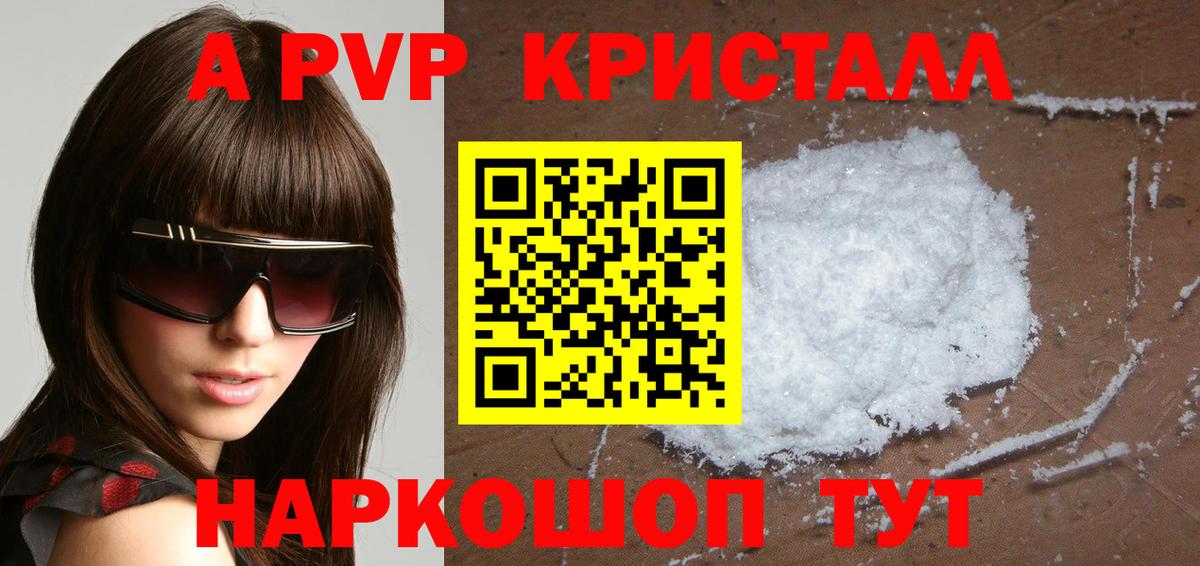 Альфа ПВП СК Курчалой